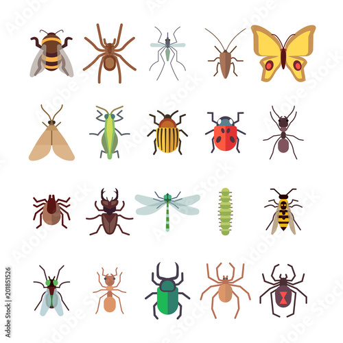 Flat insects icons set. Butterfly, dragonfly, spiders, ant isolated on white background