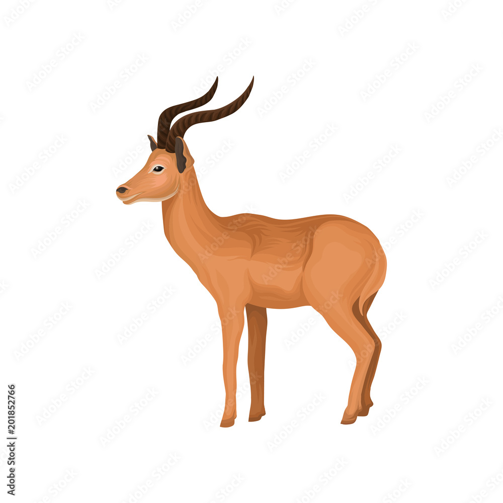 Antelope wild african animal vector Illustration on a white background Antelope wild african animal vector Illustration on a white background