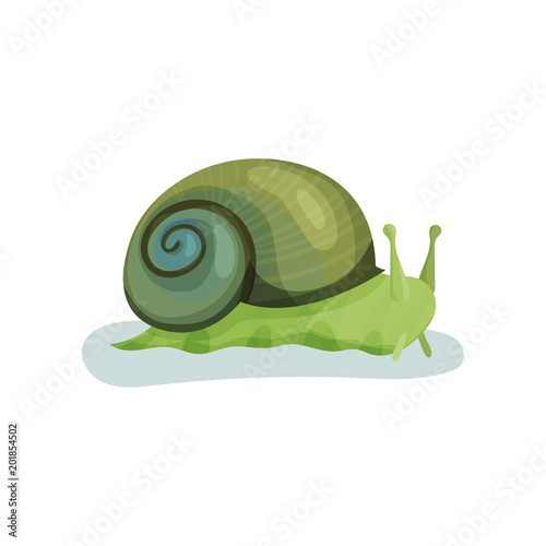 Green snail gastropod mollusk with green shell vector Illustration on a white background