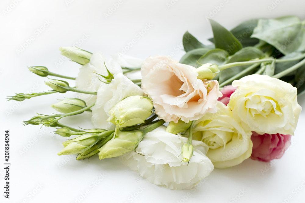 bunch of eustoma flowers isolated on white bunch of eustoma flowers isolated on white