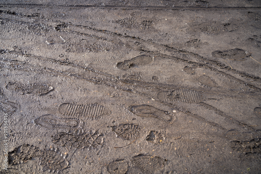 footprints in the mud, for backgrounds