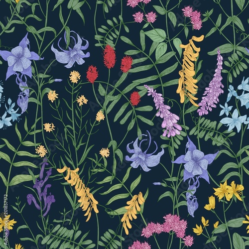 Natural seamless pattern with wild blooming flowers and flowering herbaceous plants on black background. Gorgeous floral backdrop with wildflowers and herbs. Vector illustration for textile print.