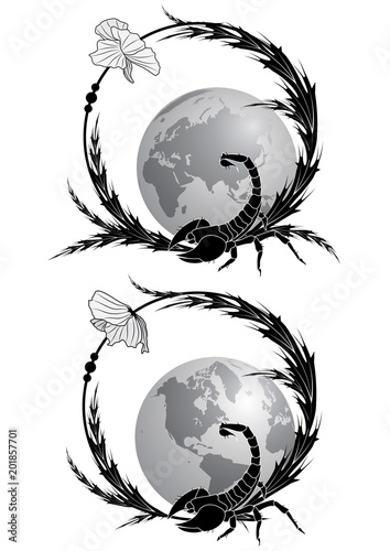 frame with scorpion and poppy