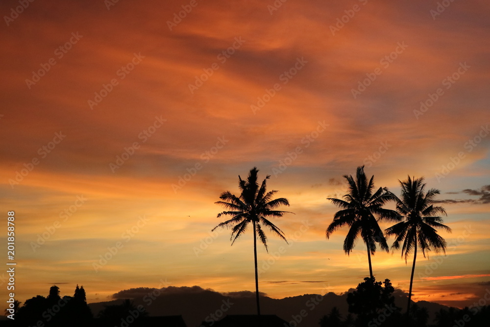 Beautiful Orange Sunset landscape with palm trees