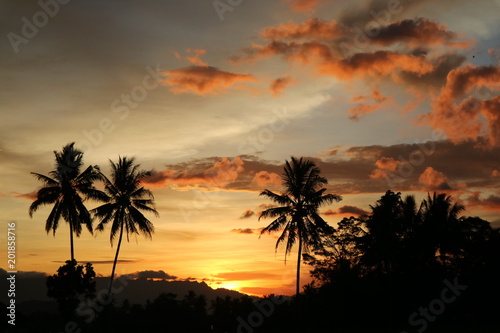 Beautiful Orange Sunset landscape with palm trees