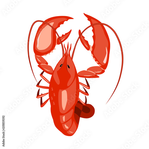 Lobster vector illustration. Isolated object on white background. Seafood product, restaurant menu. Hand drawn painting.