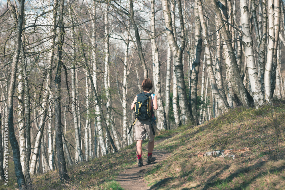 Obraz premium Woman hiking in the forest, one person walking in woodland, backpacking summer adventure travel, rear view, toned image