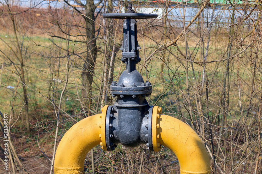 Yellow pipe for transporting domestic gas with valve on the background of trees Yellow pipe for transporting domestic gas with valve on the background of trees