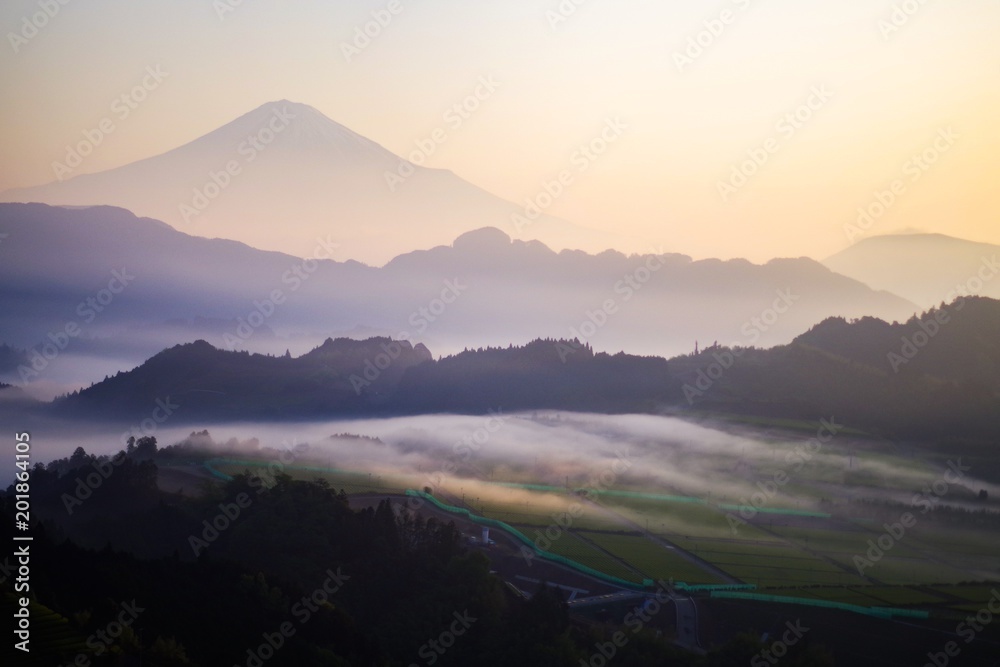 Mt Fuji and cloud sea