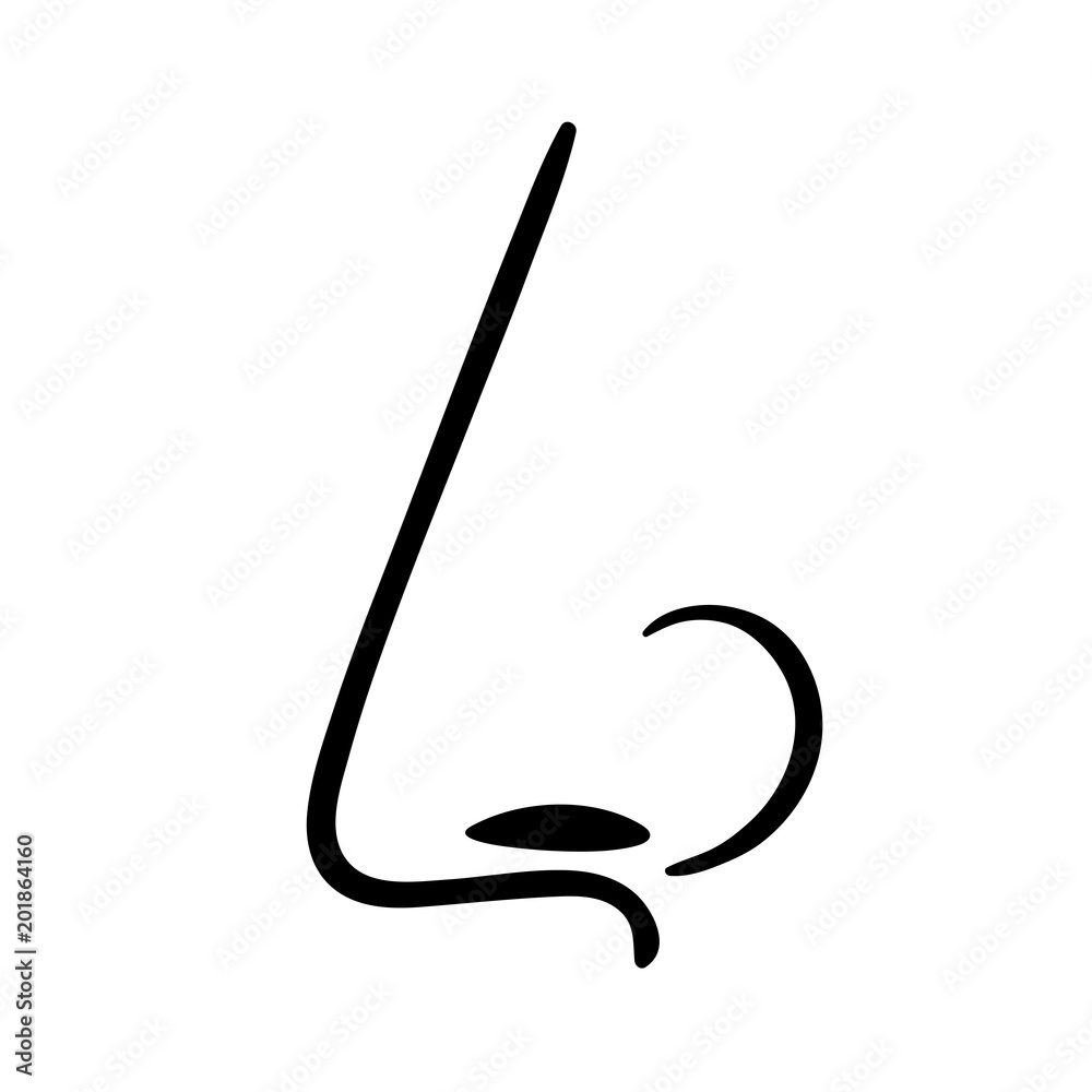 Human nose, side view Human nose, side view