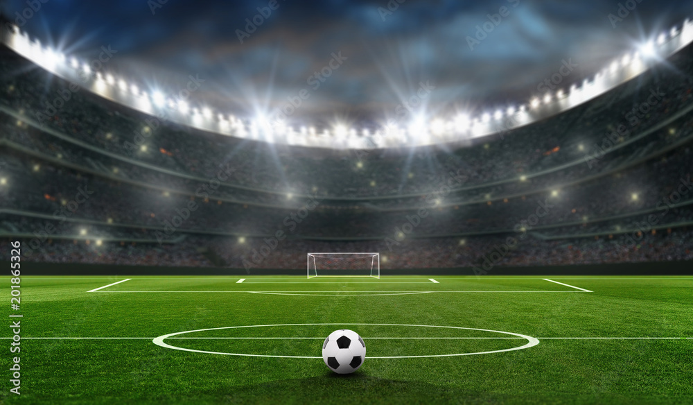 Fototapeta premium boisko do piłki nożnej z celem piłki nożnej