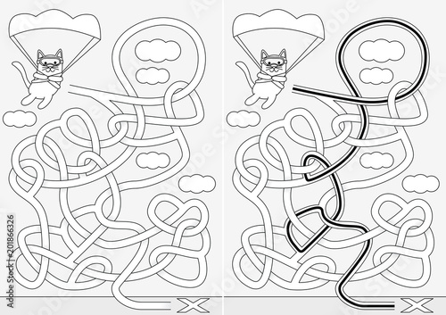 Little cat maze