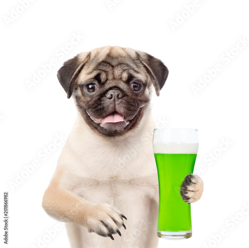 St Patrick s Day concept. Funny puppy with a glass of green beer. isolated on white background