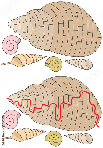 Easy shell maze
