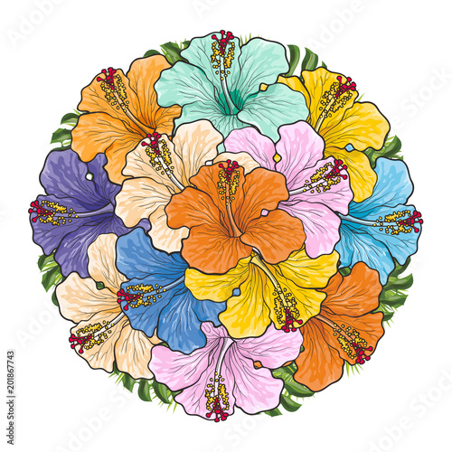 Tropical flowers hibiscus in bouquet of sphere shape isolated on white backgr...