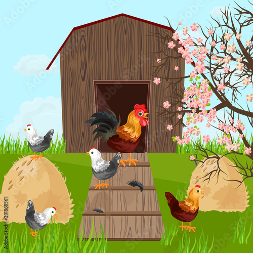 Chicken farm coop Vector. Spring season green background farmings