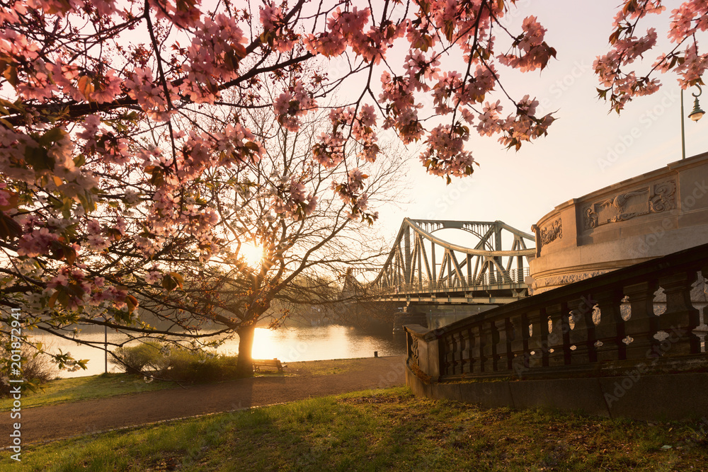 Fototapeta premium Glienicker most w wschodzie słońca
