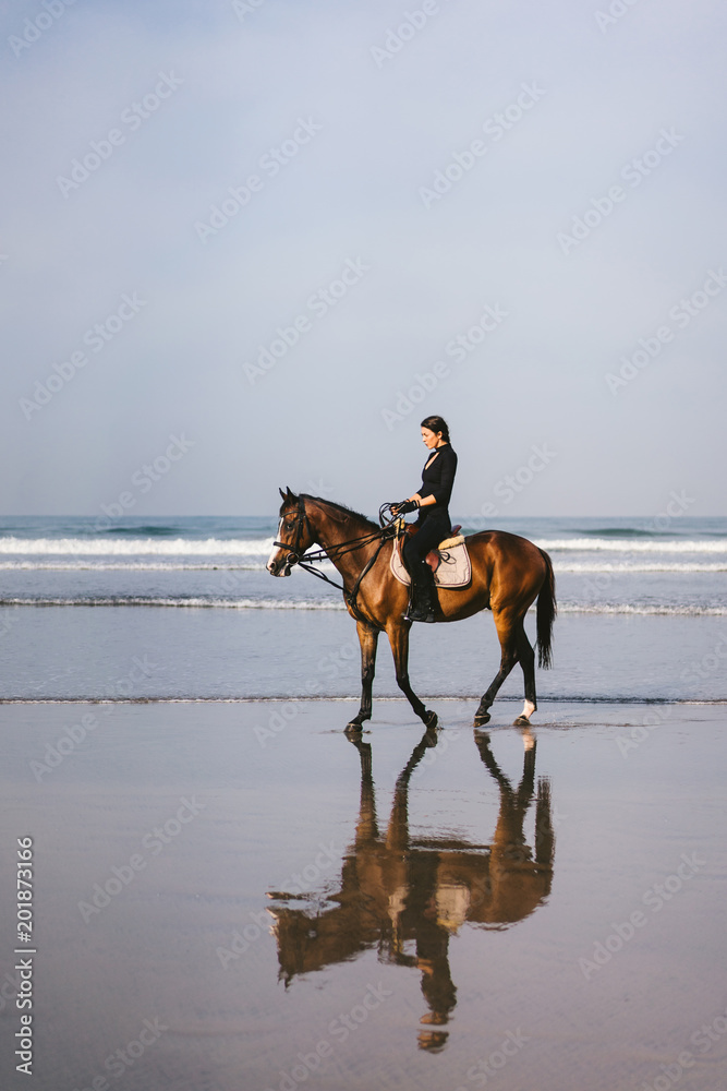 young female equestrian riding horse on sandy beach near ocean young female equestrian riding horse on sandy beach near ocean