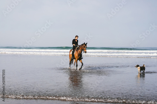 dog and young woman riding horse on beach near ocean