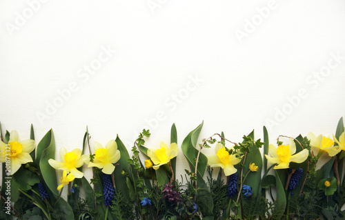 Fototapeta Naklejka Na Ścianę i Meble -  Top view of green leaves and flowers