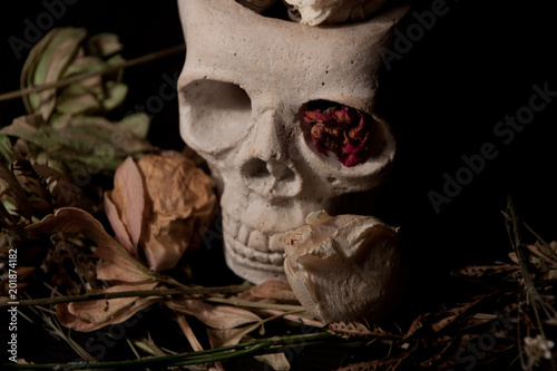 Human Skull among dried flowers