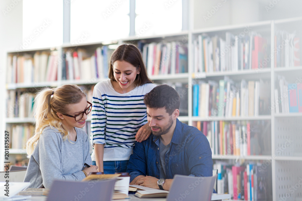 University students working in the library at campus
University students working in the library at campus