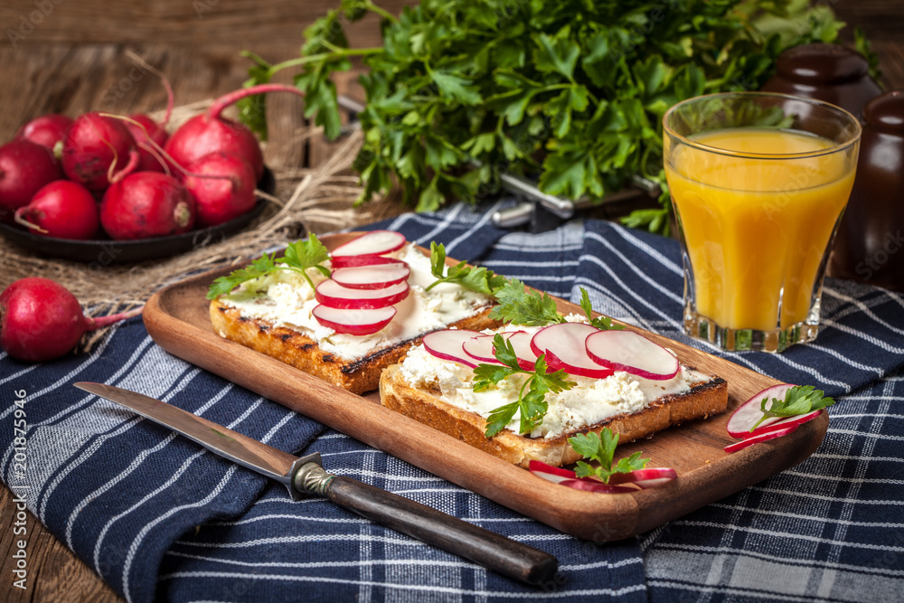 Light healthy sandwiches with bread toasts, soft cheese and freshly gathered organic radishes and parsley.