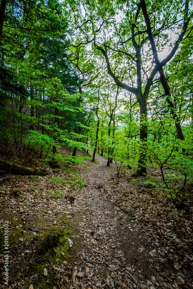 Wander-Lust - Germany Wander-Lust - Germany
