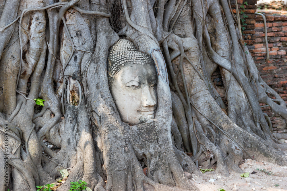 The Head of The Sandstone Buddha image in tree roots at Wat Mahathat, Ayutthaya, Thailand Tourists come here very much - filter color effect dark tone - selective focus The Head of Buddha image The Head of The Sandstone Buddha image in tree roots at Wat Mahathat, Ayutthaya, Thailand Tourists come here very much - filter color effect dark tone - selective focus The Head of Buddha image