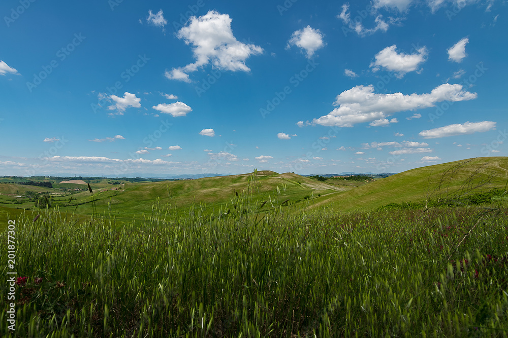 campagna toscana con colline