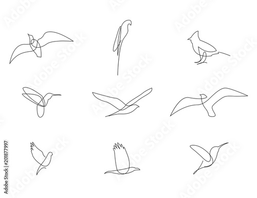 One line birds set. Vector illustration