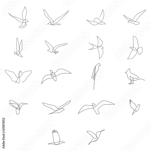 One line birds set. Vector illustration