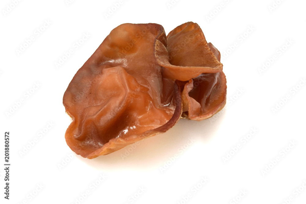 Obraz premium 美味しいアラゲキクラゲ（あらげきくらげ） コピースペースあり 白背景 