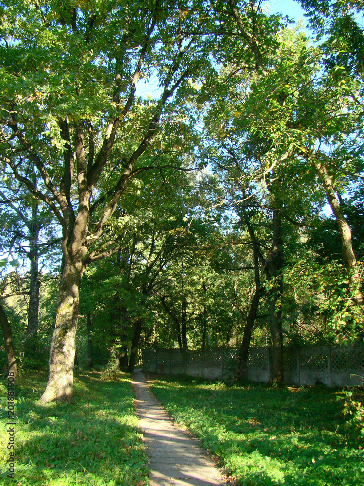 Old path in the park