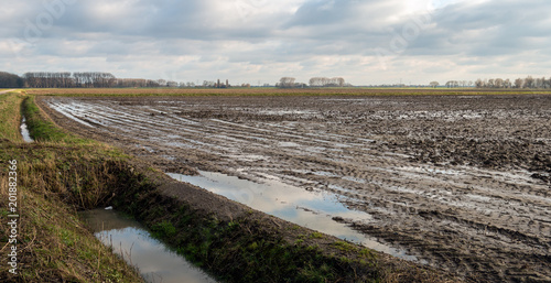 фотографія Wet agriculture field