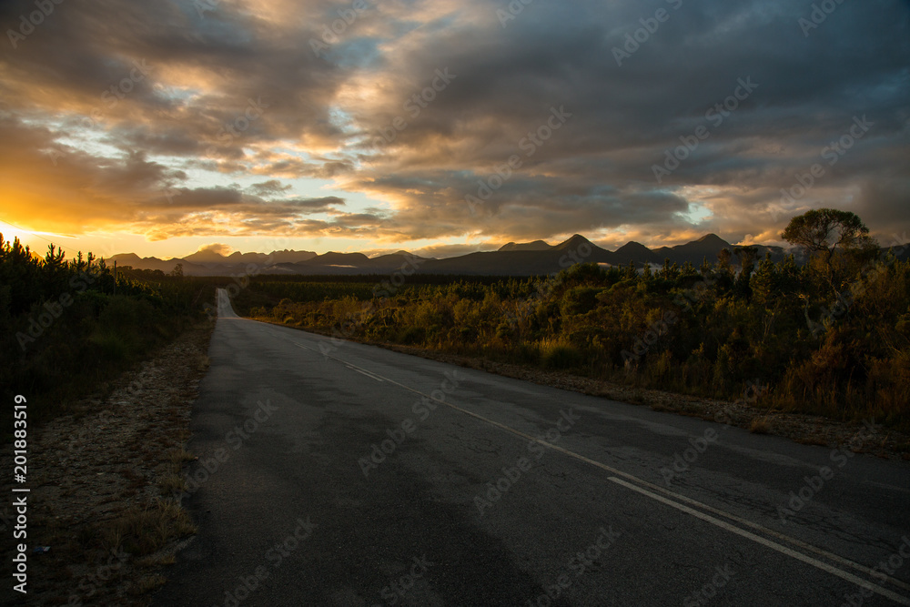 Road in to the sunset.