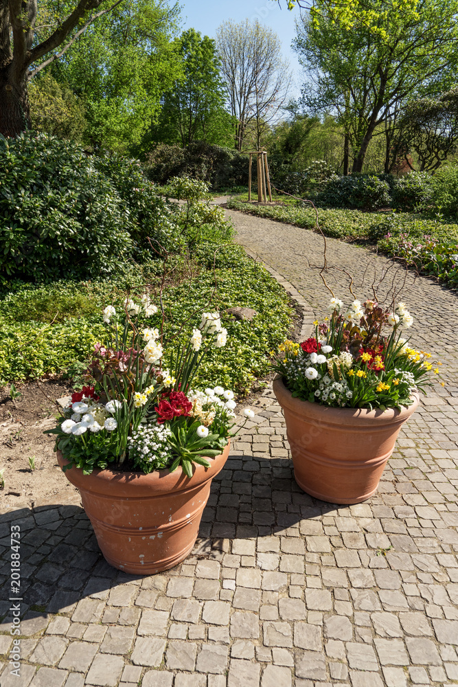 Two planters with blooming flowers in the park