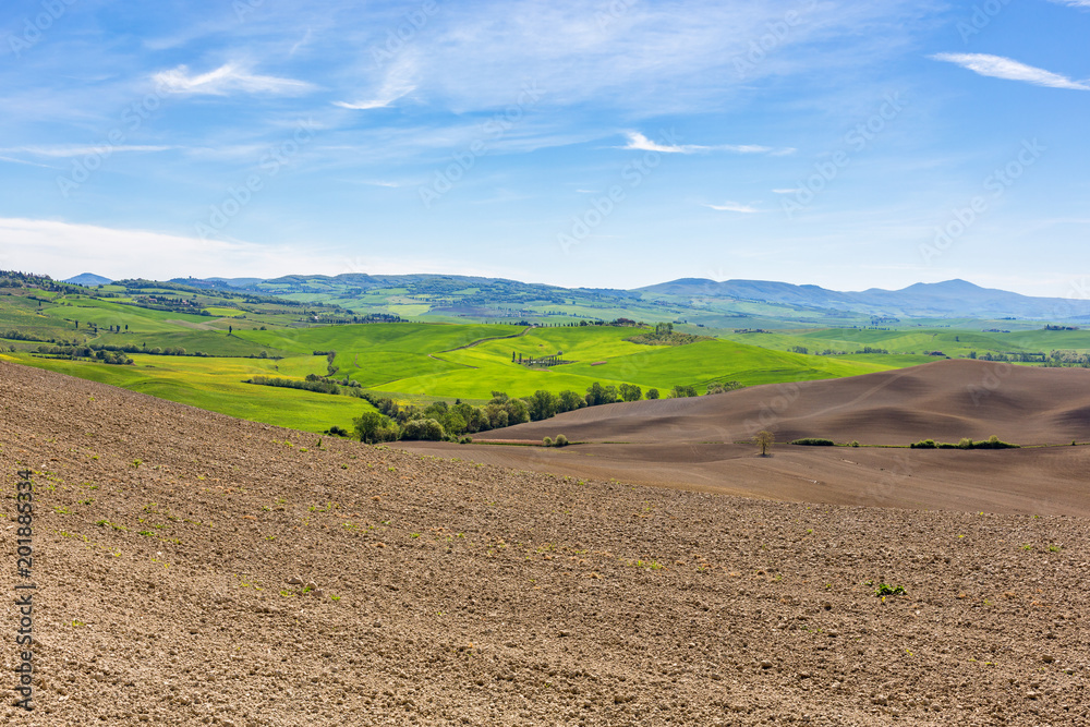 Seeded fields in a rolling rural landscape with a view of Tuscany