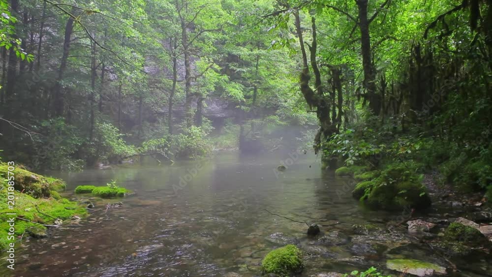 Misty water stream in deep rain magic forest Misty water stream in deep rain magic forest