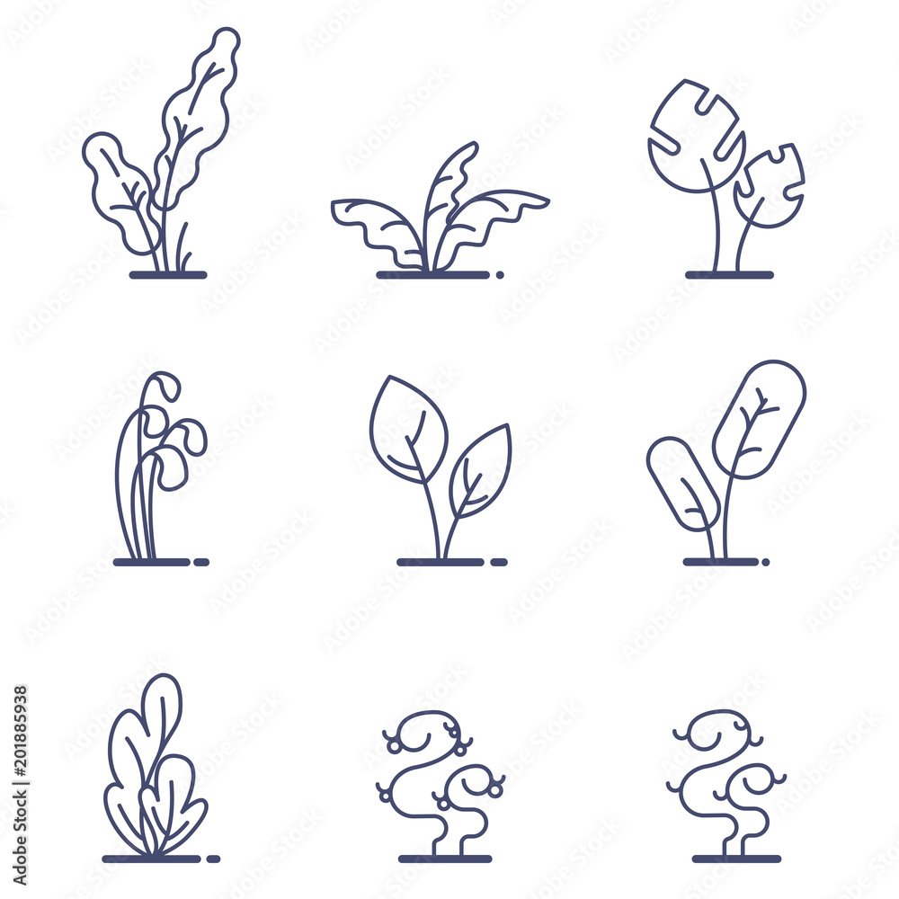 Set of different forest ferns. Flat outline vector illustration. White isolated.