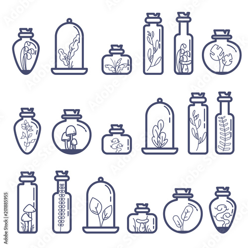 Set of different terrarium bottles with grass and mushrooms. Flat outline vector illustration photo