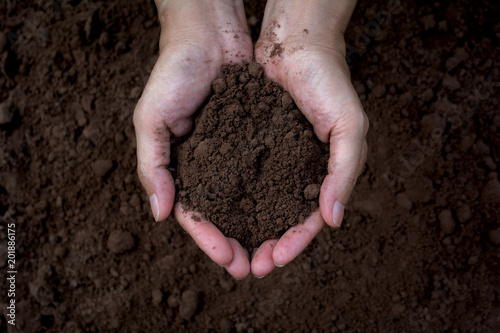 Male holding soil in the hands for planting. Ecology concept.