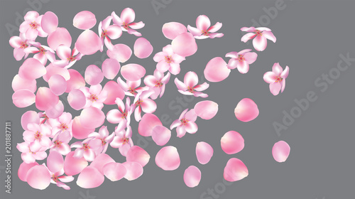 Wedding Sakura Cherry  Rose Petals Floral Confetti. Shower Vector Peach Apple Blossom Soft Sakura Cherry and Rose Confetti Falling Down. Windy Floral Design  Natural Cosmetics Decoration.