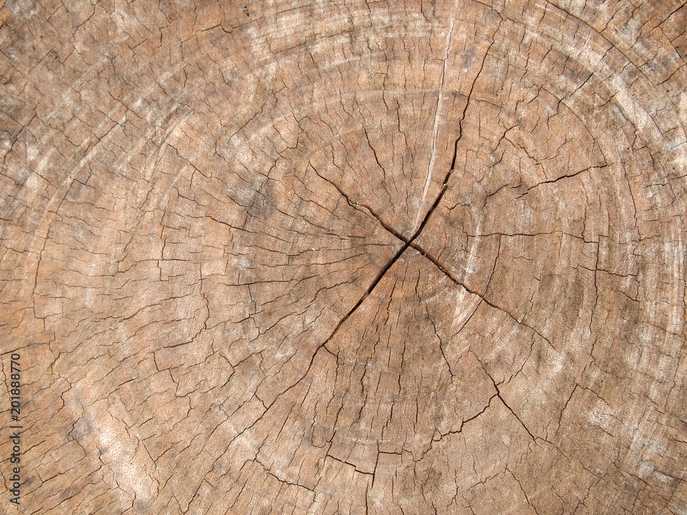 Naklejka premium Background wood