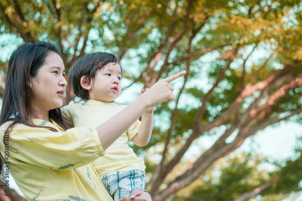 Closeup asian mother pointing her finger and tell her son to look in park view textured background Closeup asian mother pointing her finger and tell her son to look in park view textured background