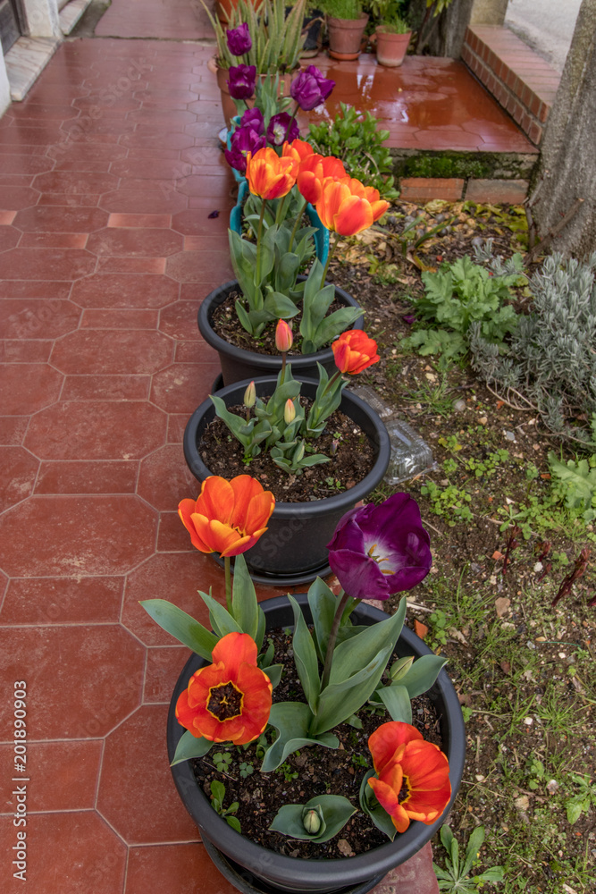 Naklejka premium Springtime