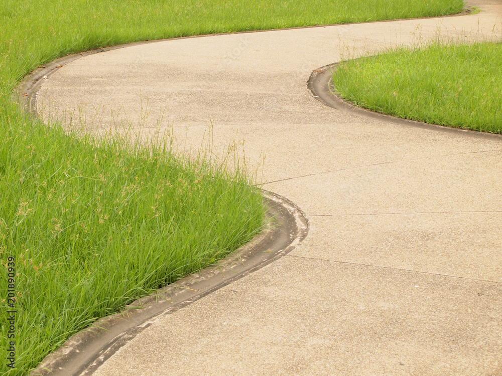 curve pathway view curve pathway view