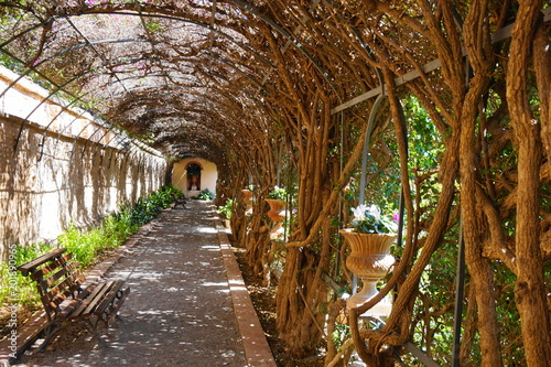 Jardines de Monforte, Valencia