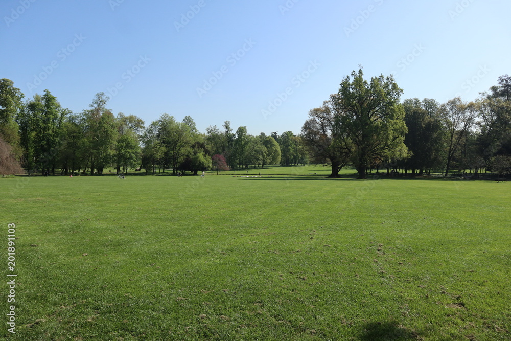Prato verde, parco di monza Prato verde, parco di monza