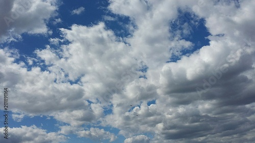 Beautiful fluffy clouds in blue sky  natural background